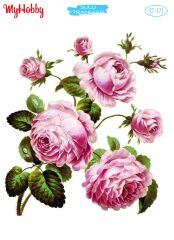 My Hobby Sulu Transfer 25*35 cm STB-171