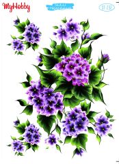 My Hobby Sulu Transfer 25*35 cm STB-232