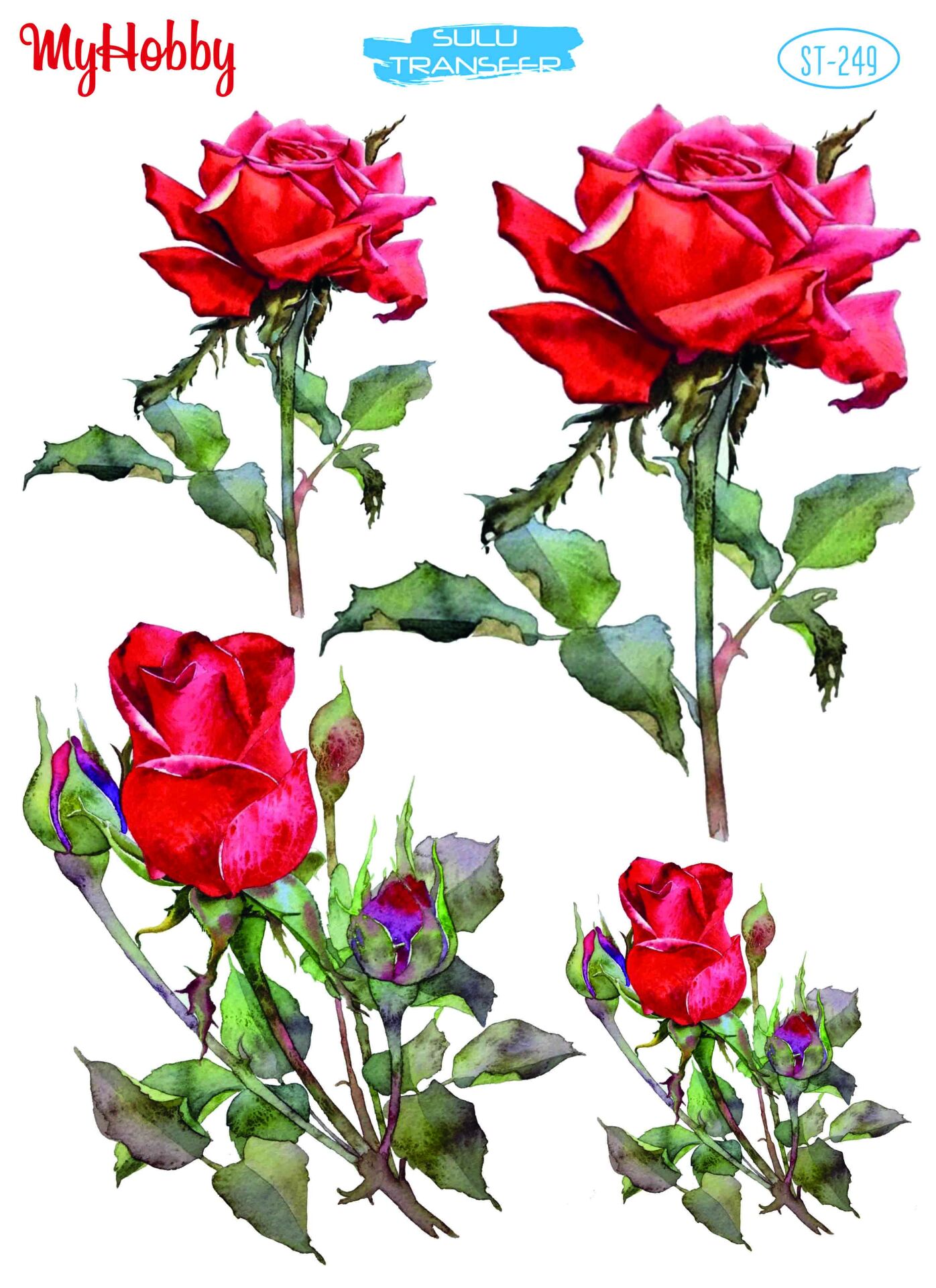 My Hobby Sulu Transfer 25*35 cm STB-249