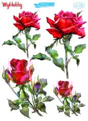 My Hobby Sulu Transfer 25*35 cm STB-249