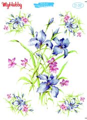 My Hobby Sulu Transfer 25*35 cm STB-287