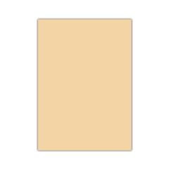 Eva 50x70 cm Ten Rengi 10'lu Paket