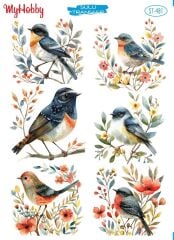 My Hobby Sulu Transfer 25*35 cm STB-481