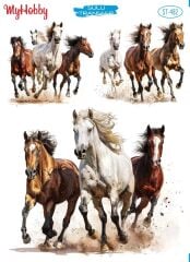 My Hobby Sulu Transfer 25*35 cm STB-482