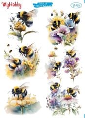 My Hobby Sulu Transfer 25*35 cm STB-485