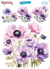 My Hobby Sulu Transfer 25*35 cm STB-487