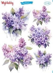 My Hobby Sulu Transfer 25*35 cm STB-495