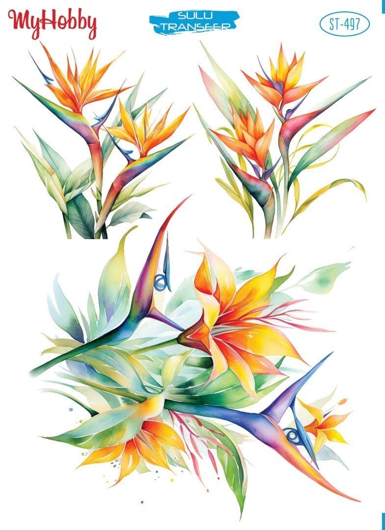 My Hobby Sulu Transfer 25*35 cm STB-497