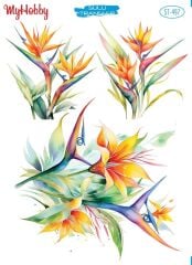 My Hobby Sulu Transfer 25*35 cm STB-497