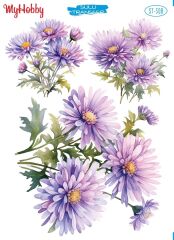 My Hobby Sulu Transfer 25*35 cm STB-508