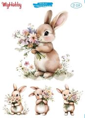 My Hobby Sulu Transfer 25*35 cm STB-554