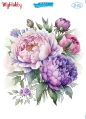 My Hobby Sulu Transfer 25*35 cm STB-565