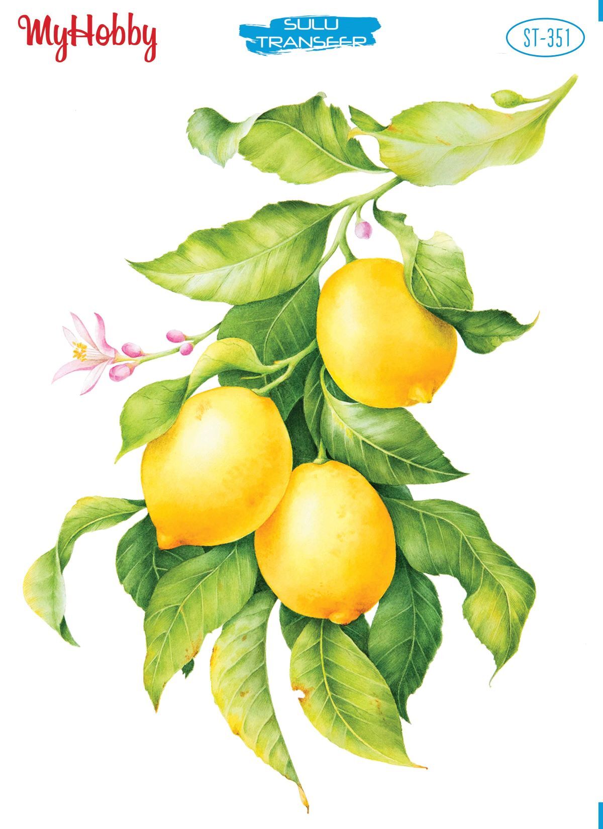 My Hobby Sulu Transfer 25*35 cm STB-351