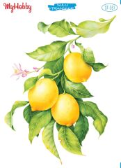 My Hobby Sulu Transfer 25*35 cm STB-351