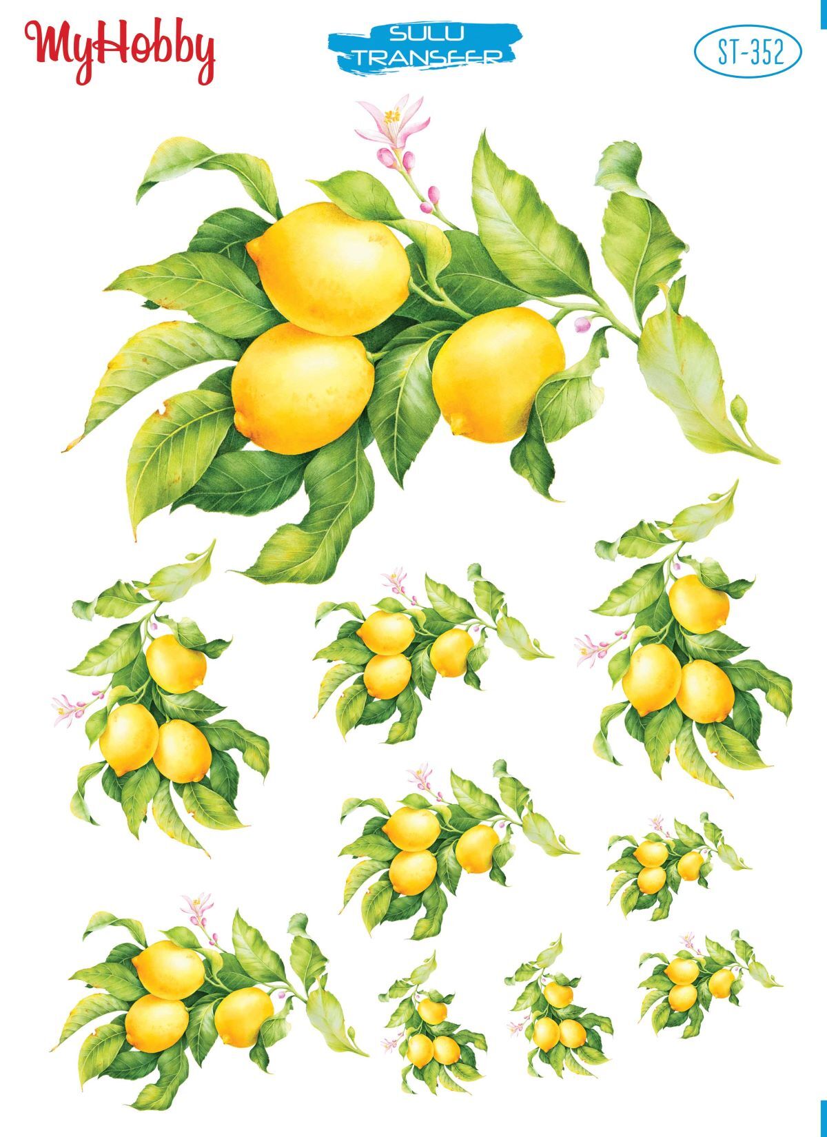 My Hobby Sulu Transfer 25*35 cm STB-352