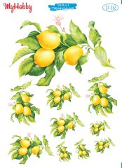 My Hobby Sulu Transfer 25*35 cm STB-352