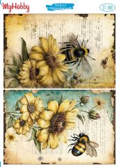 My Hobby Sulu Transfer 25*35 cm STB-388